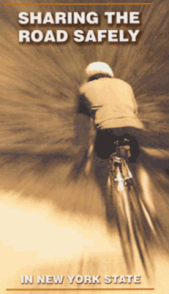 Sharing the Road Safely