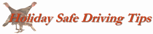 Holiday Safe Driving Tips