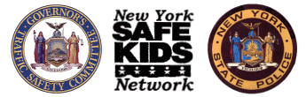 GTSC, NYS SAFE KIDS, DSP